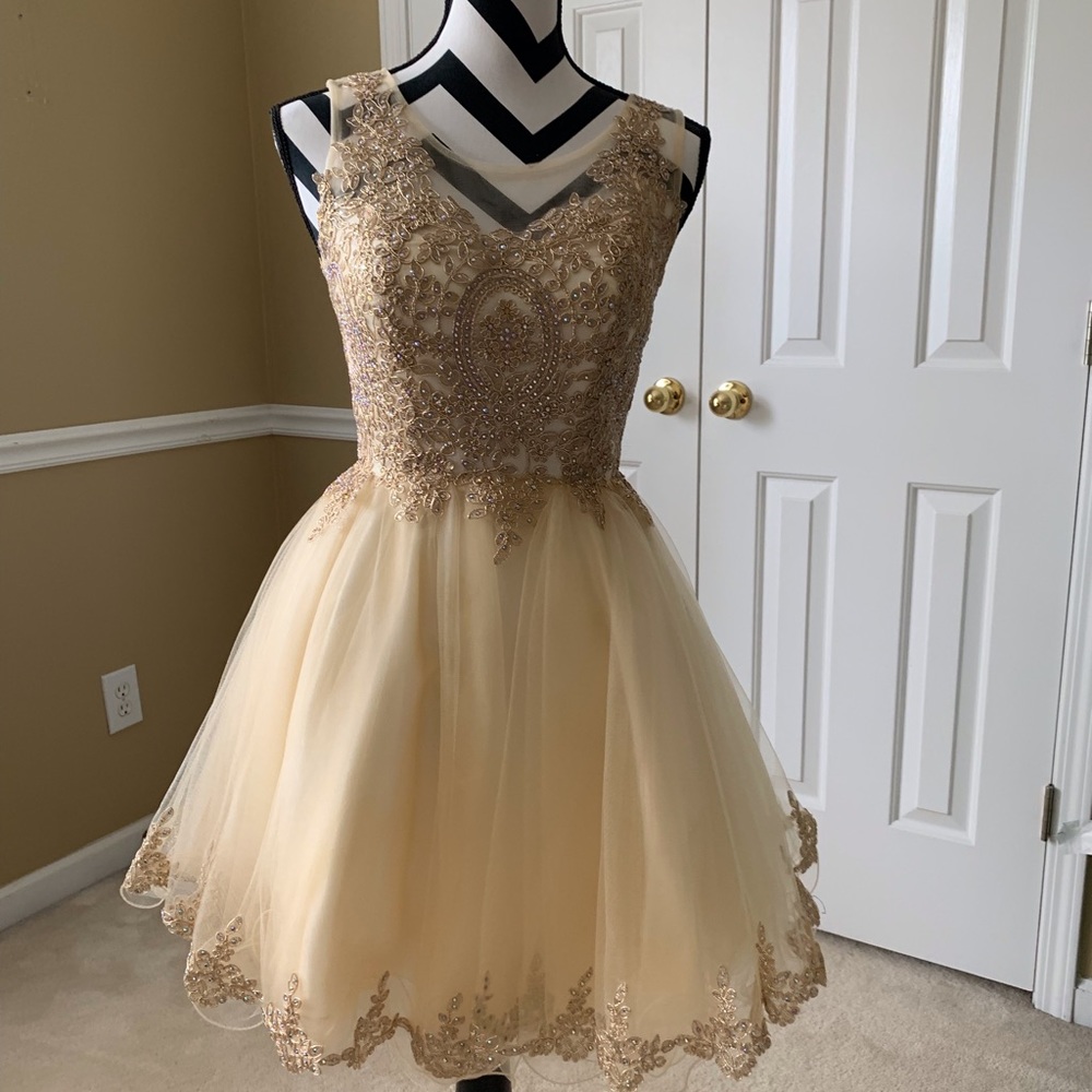 embroidered neckline cocktail, prom  dress.